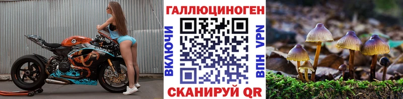 магазин    Менделеевск  mega ссылка  Псилоцибиновые грибы мицелий 