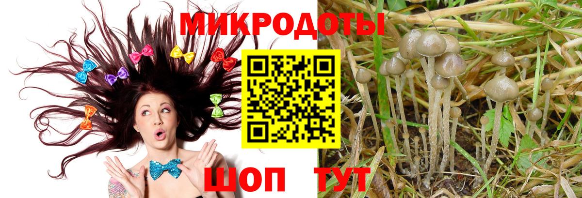 Галлюциногенные грибы Cubensis Менделеевск